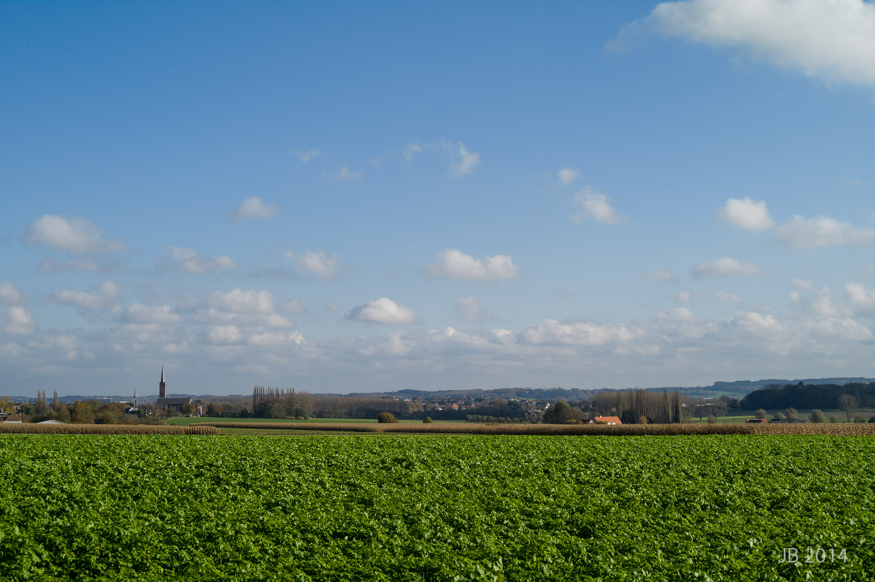 ../../pics/L1009423_l.jpg