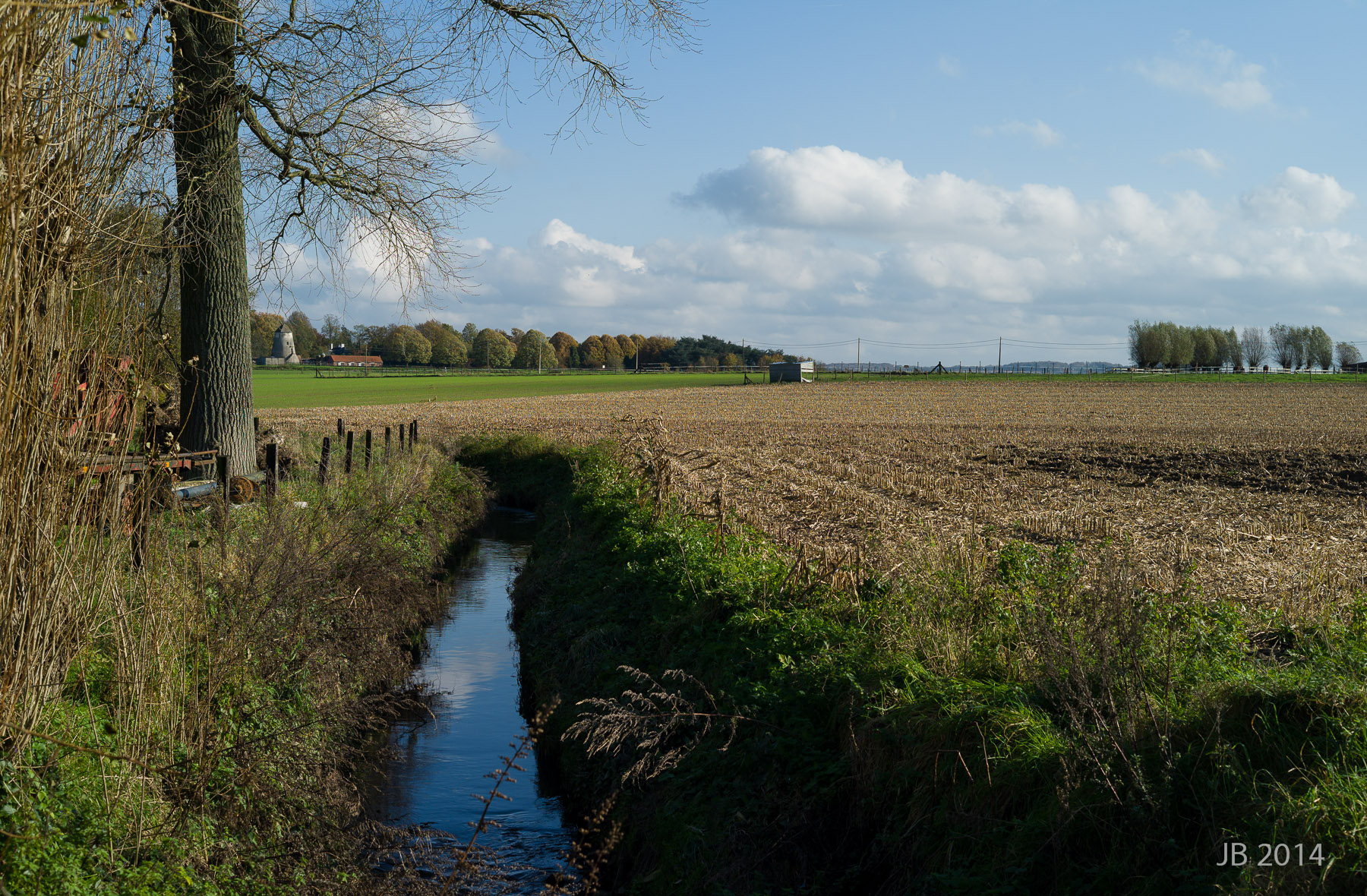 ../../pics/L1009438_l.jpg