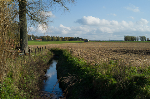 ../../pics/L1009438_n.jpg