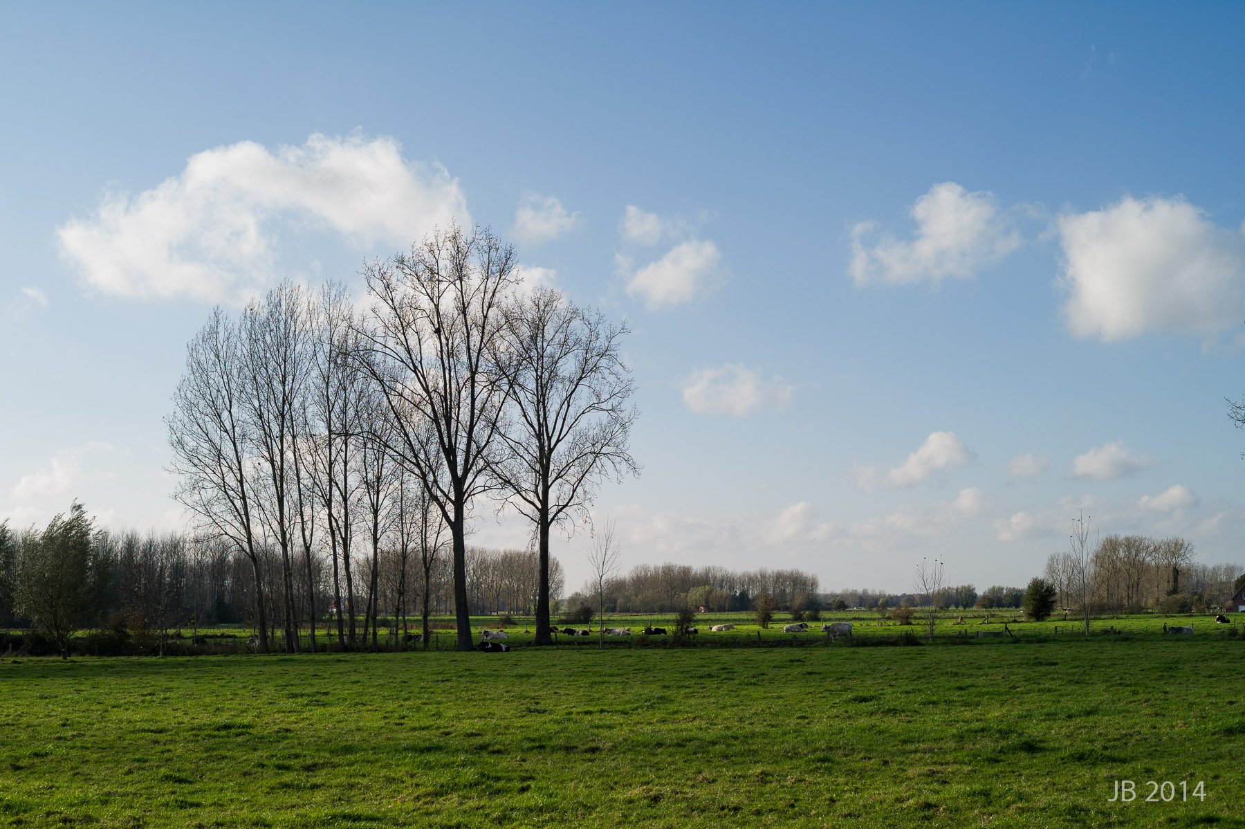 ../../pics/L1009458_l.jpg