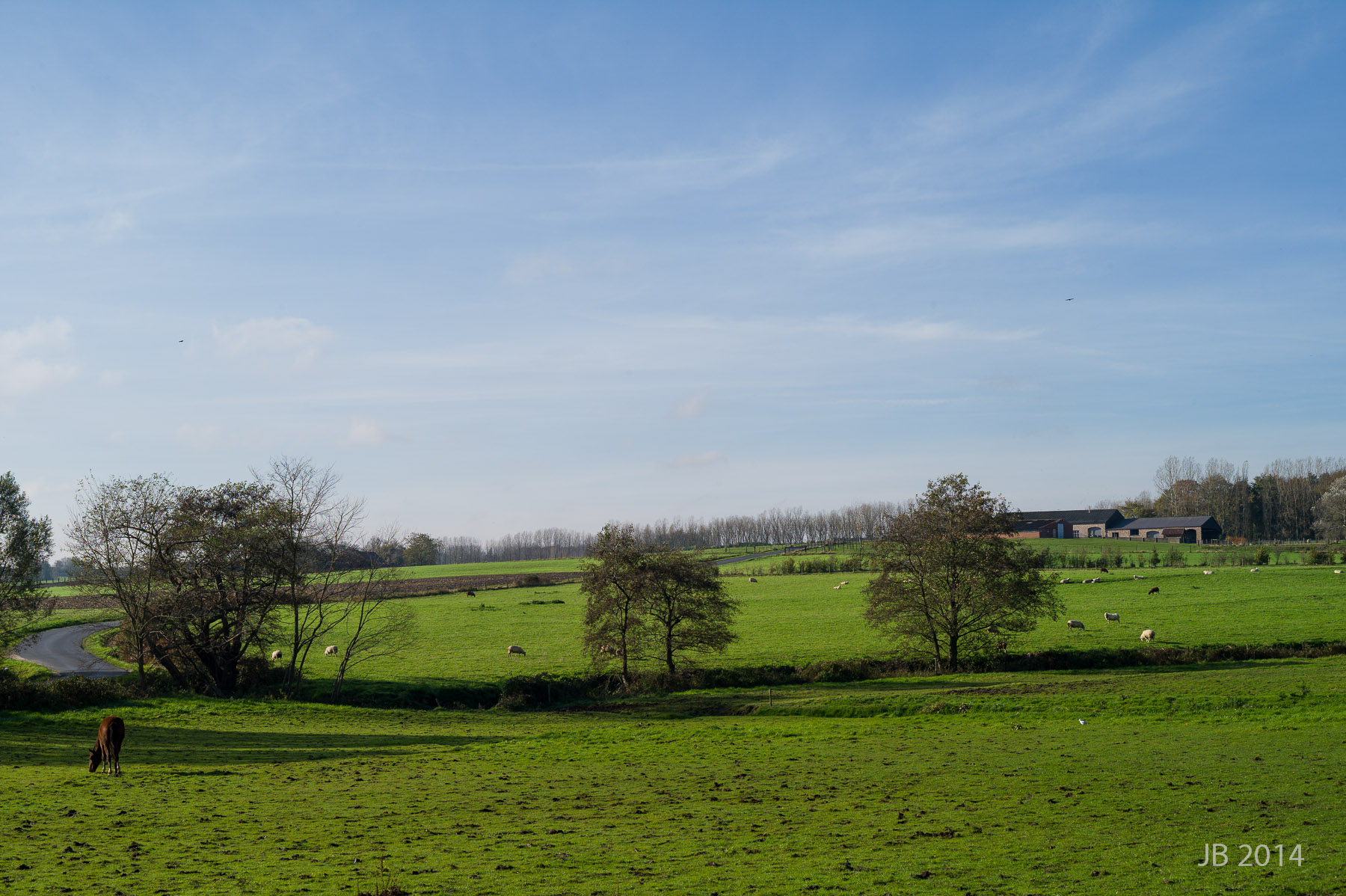../../pics/L1009596_l.jpg