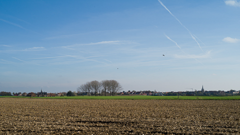../../pics/L1009608_n.jpg