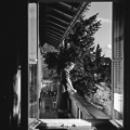 ../pics/prev_Horb_Frida_t.jpg