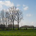 ../pics/prev_flandern2_t.jpg