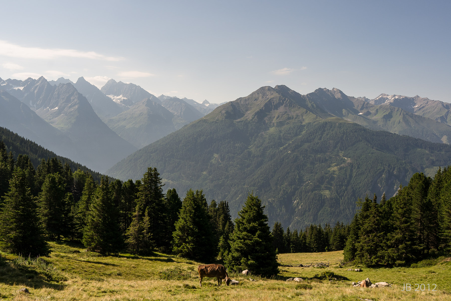 ../pics/L1039086_l.jpg