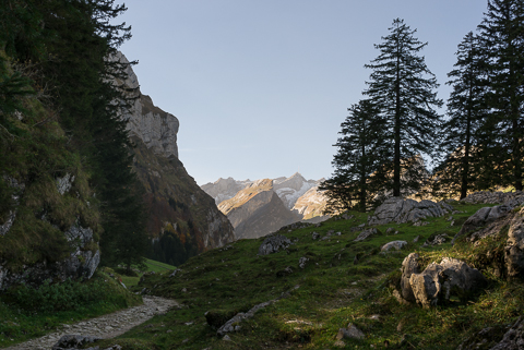 ../pics/L1042713_n.jpg