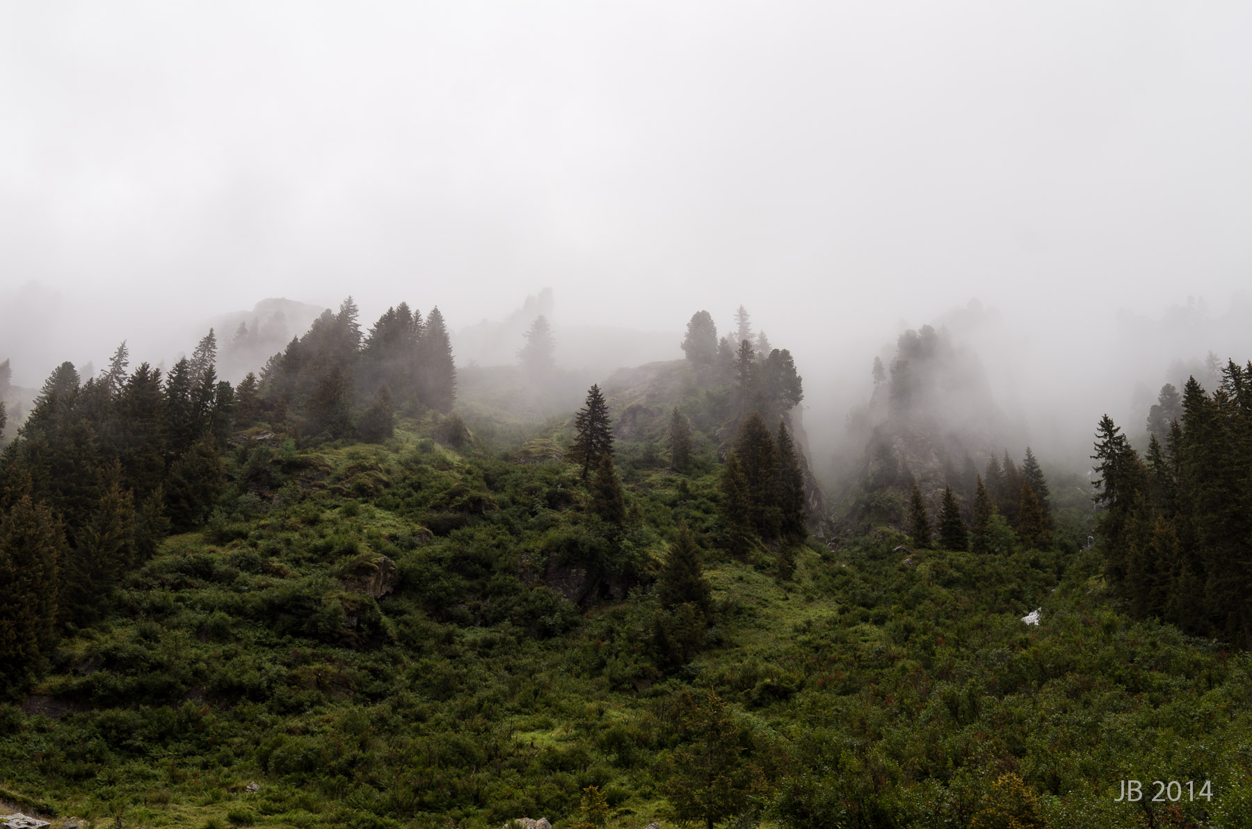 ../pics/L2006289_l.jpg