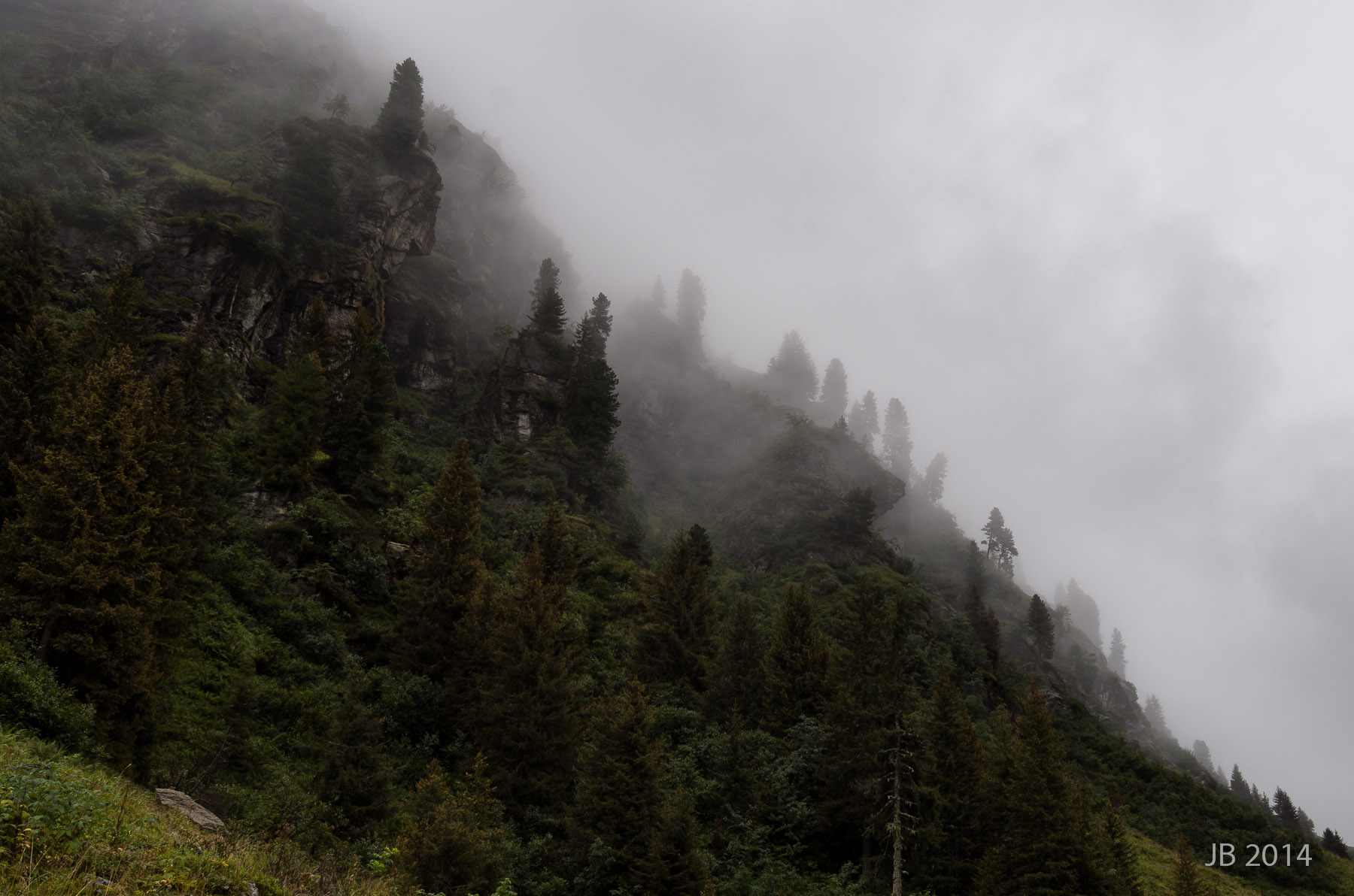 ../pics/L2006294_l.jpg