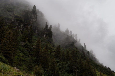 ../pics/L2006294_n.jpg