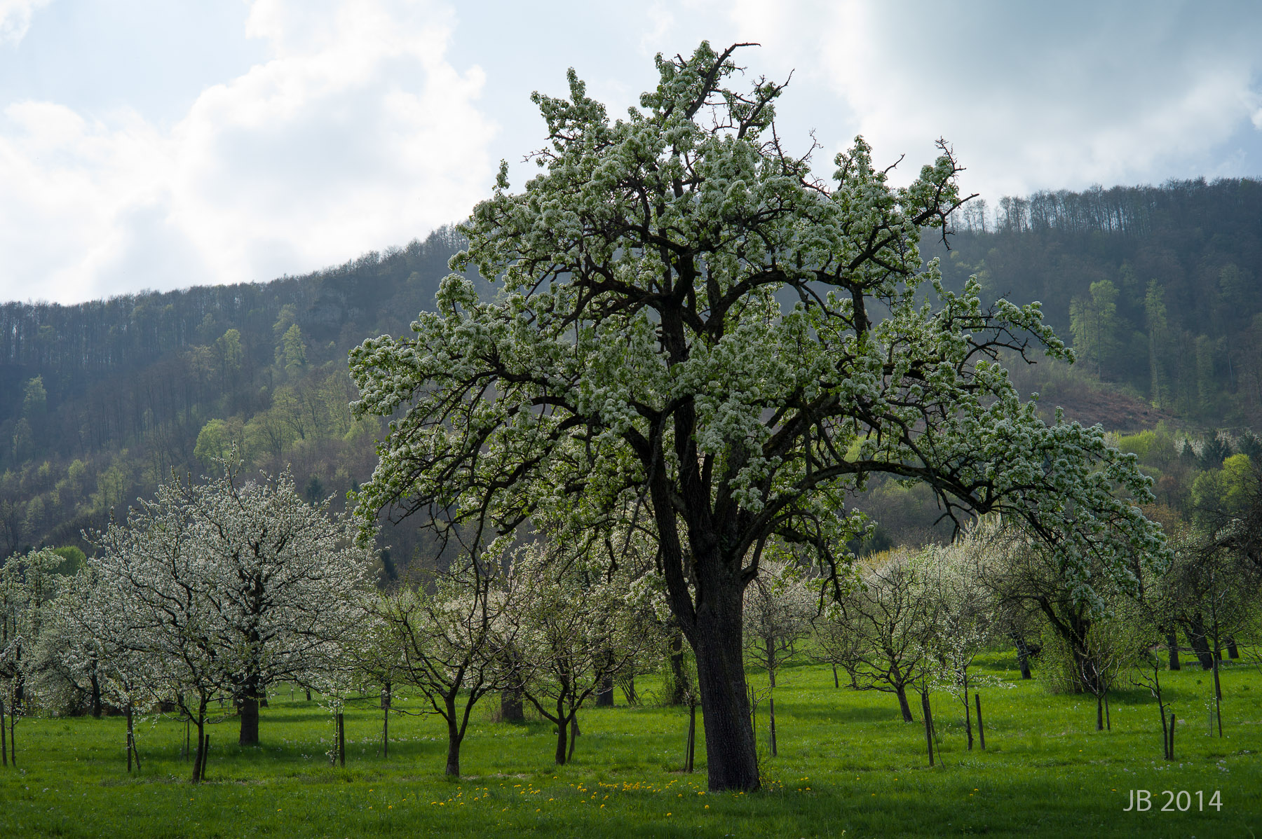 ../pics/L1005890_l.jpg