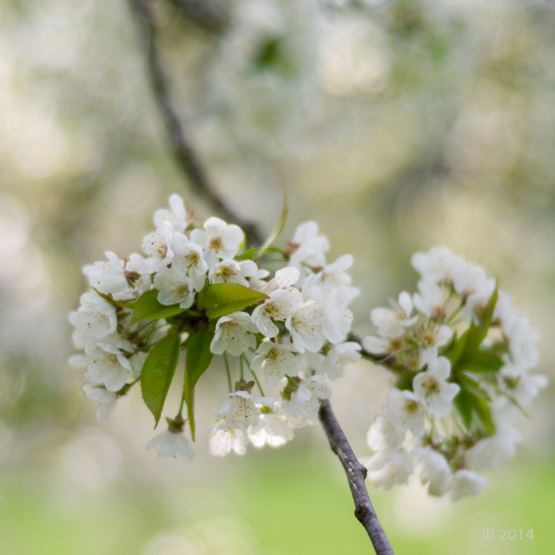../pics/L1005924_l.jpg