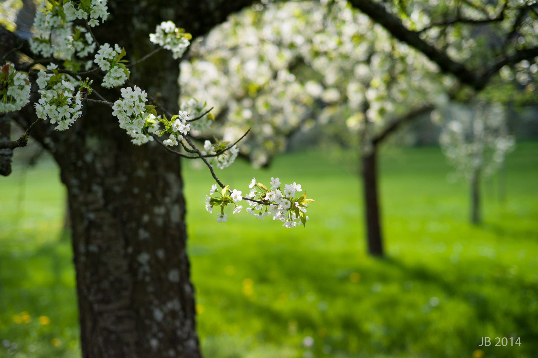 ../pics/L1005927_l.jpg