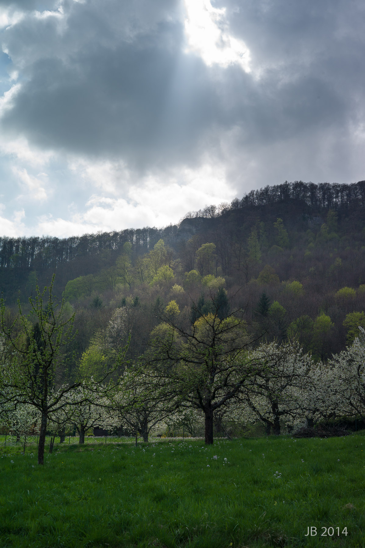 ../pics/L1005930_l.jpg