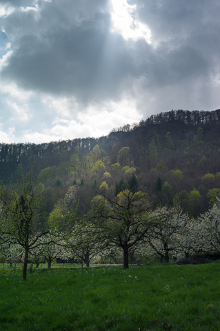 ../pics/L1005930_n.jpg