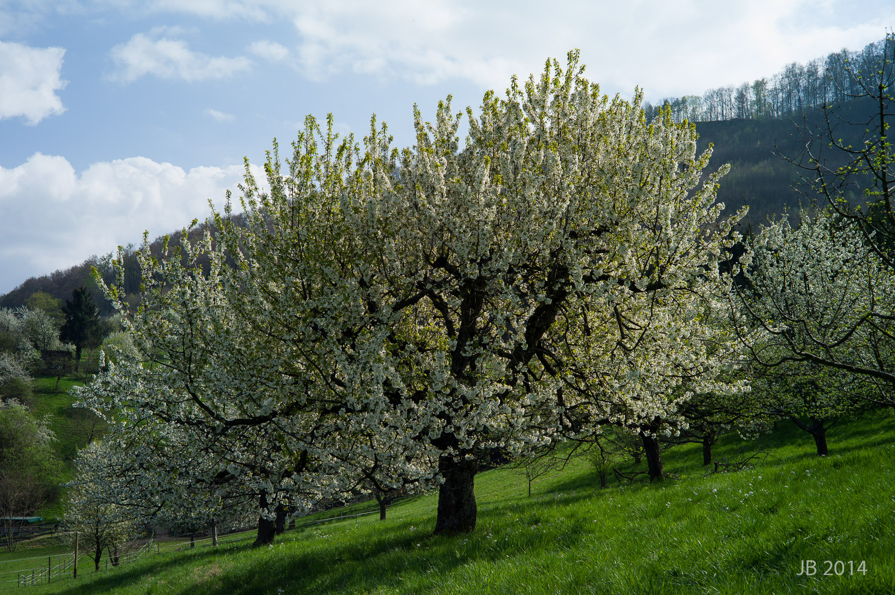 ../pics/L1005937_l.jpg