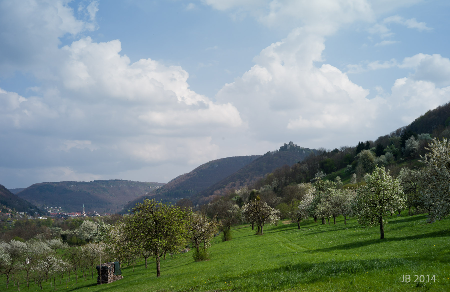 ../pics/L1005945_l.jpg