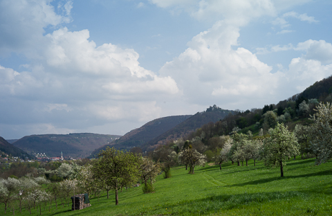 ../pics/L1005945_n.jpg