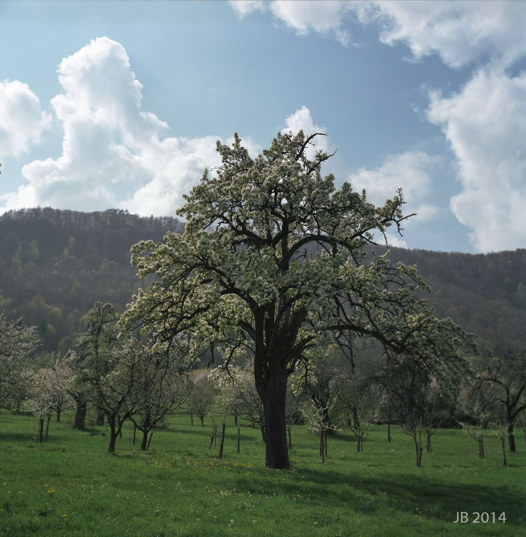 ../pics/RGX28_2014-0011_01_l.jpg