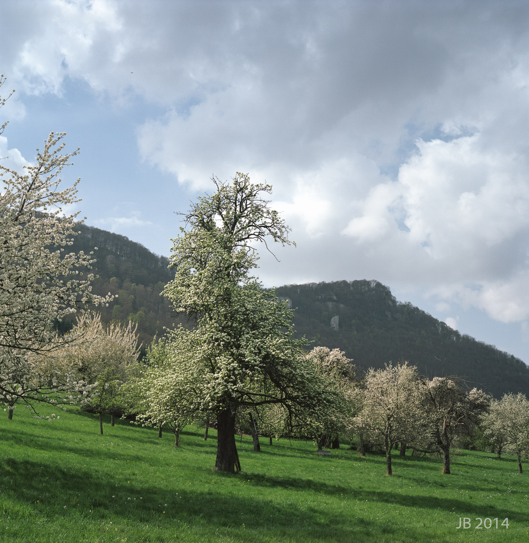 ../pics/RGX28_2014-0011_06_l.jpg