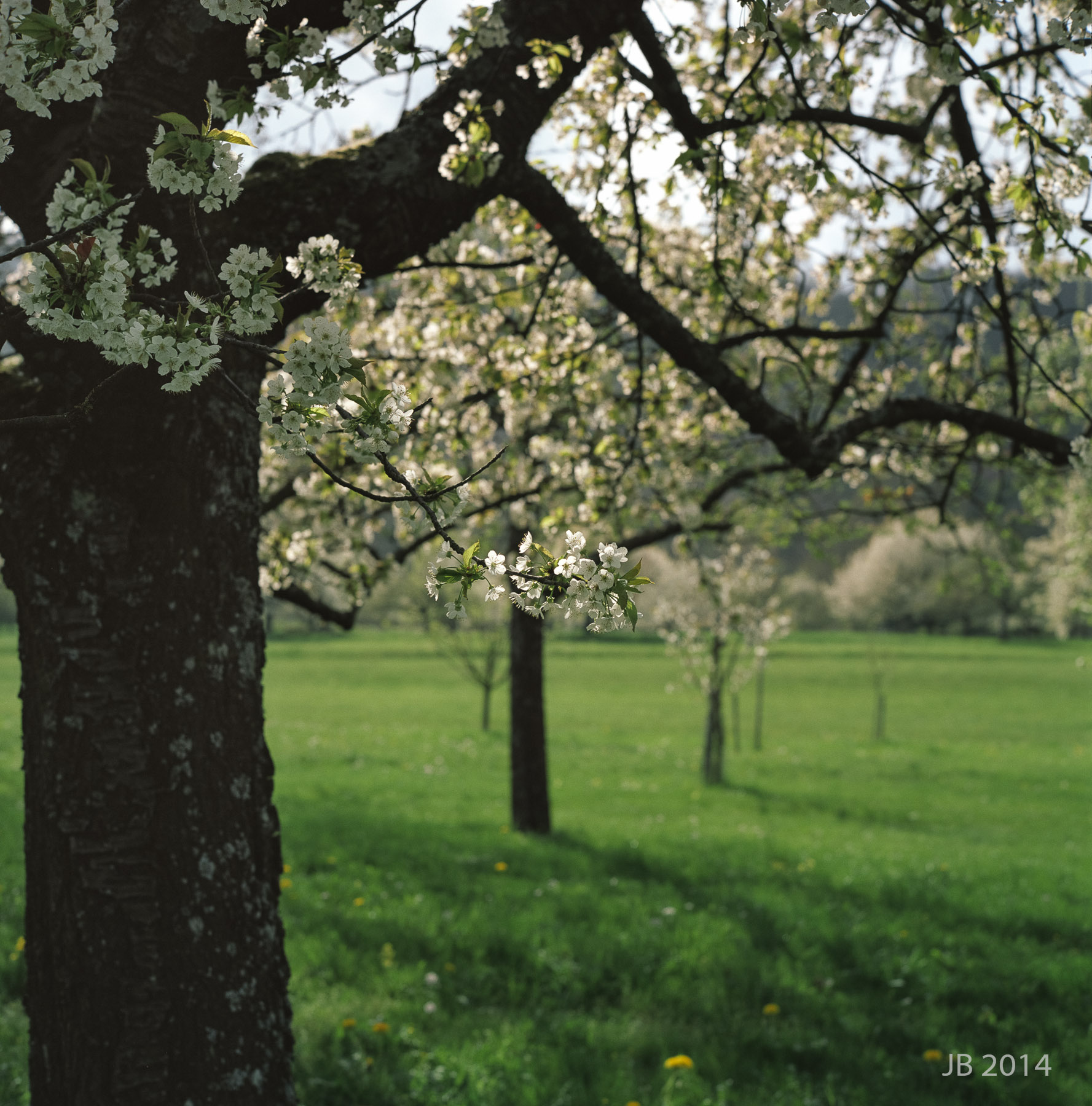 ../pics/RGX28_2014-0011_07_l.jpg