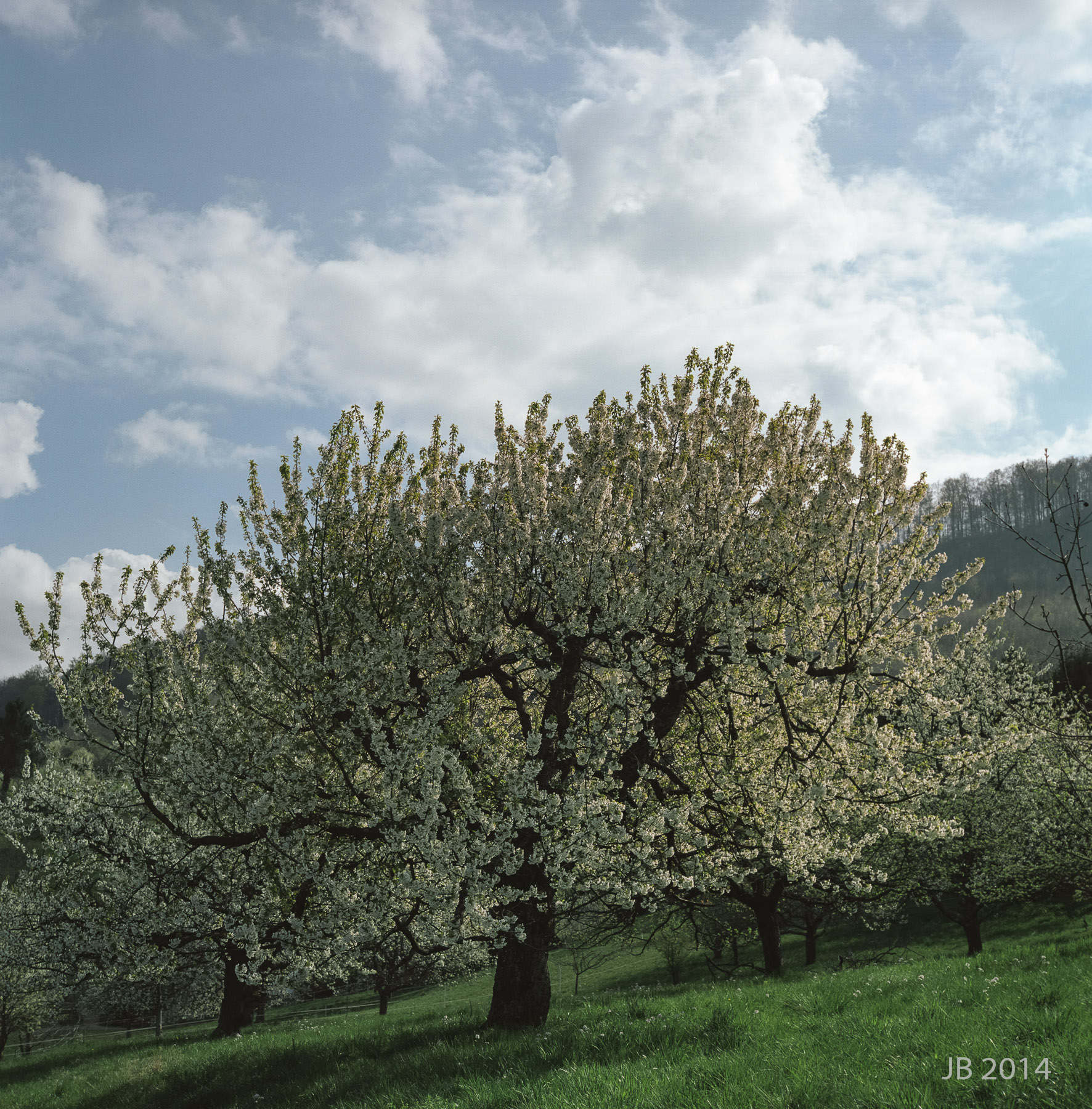 ../pics/RGX28_2014-0011_08_l.jpg