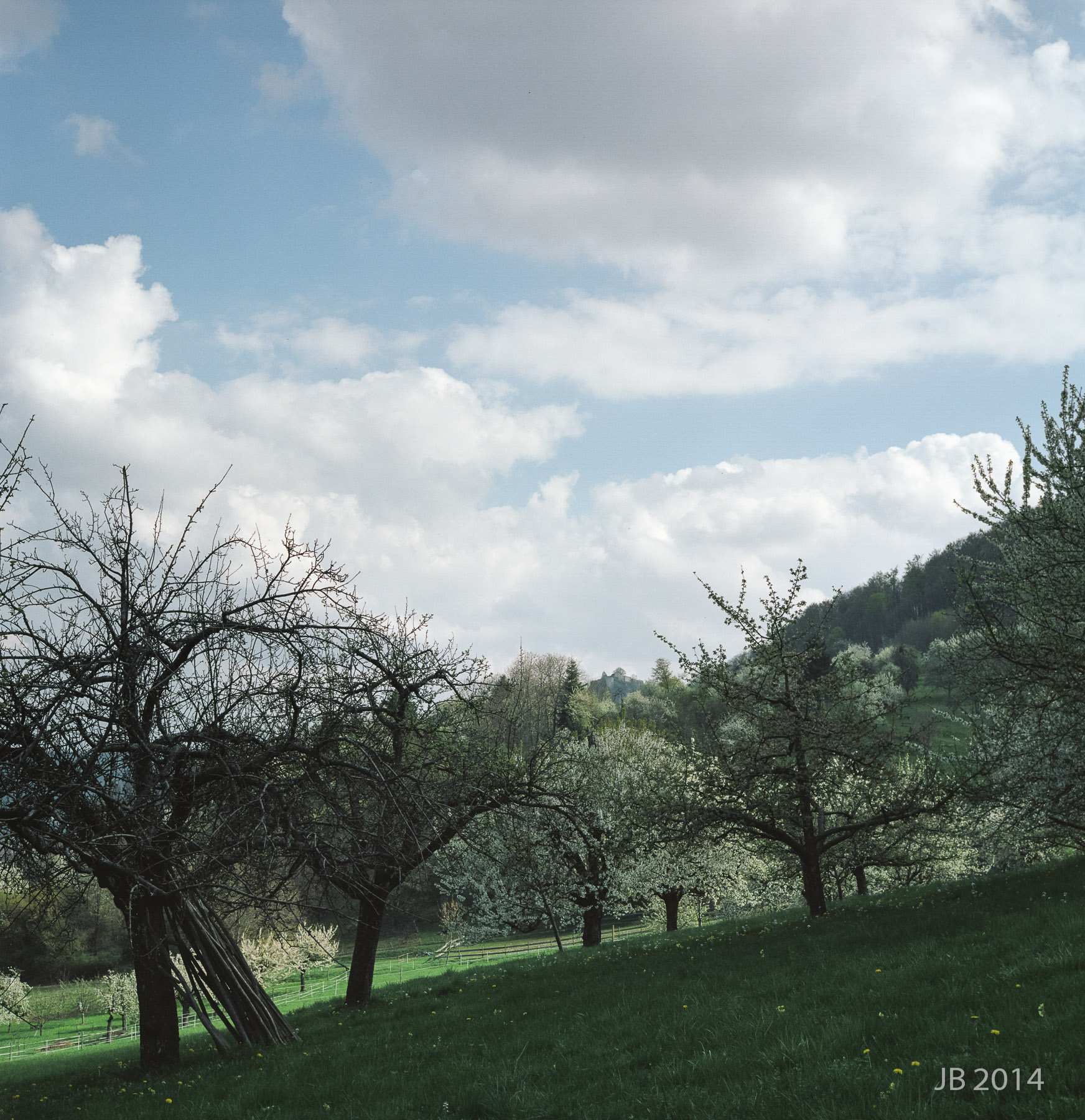 ../pics/RGX28_2014-0011_10_l.jpg