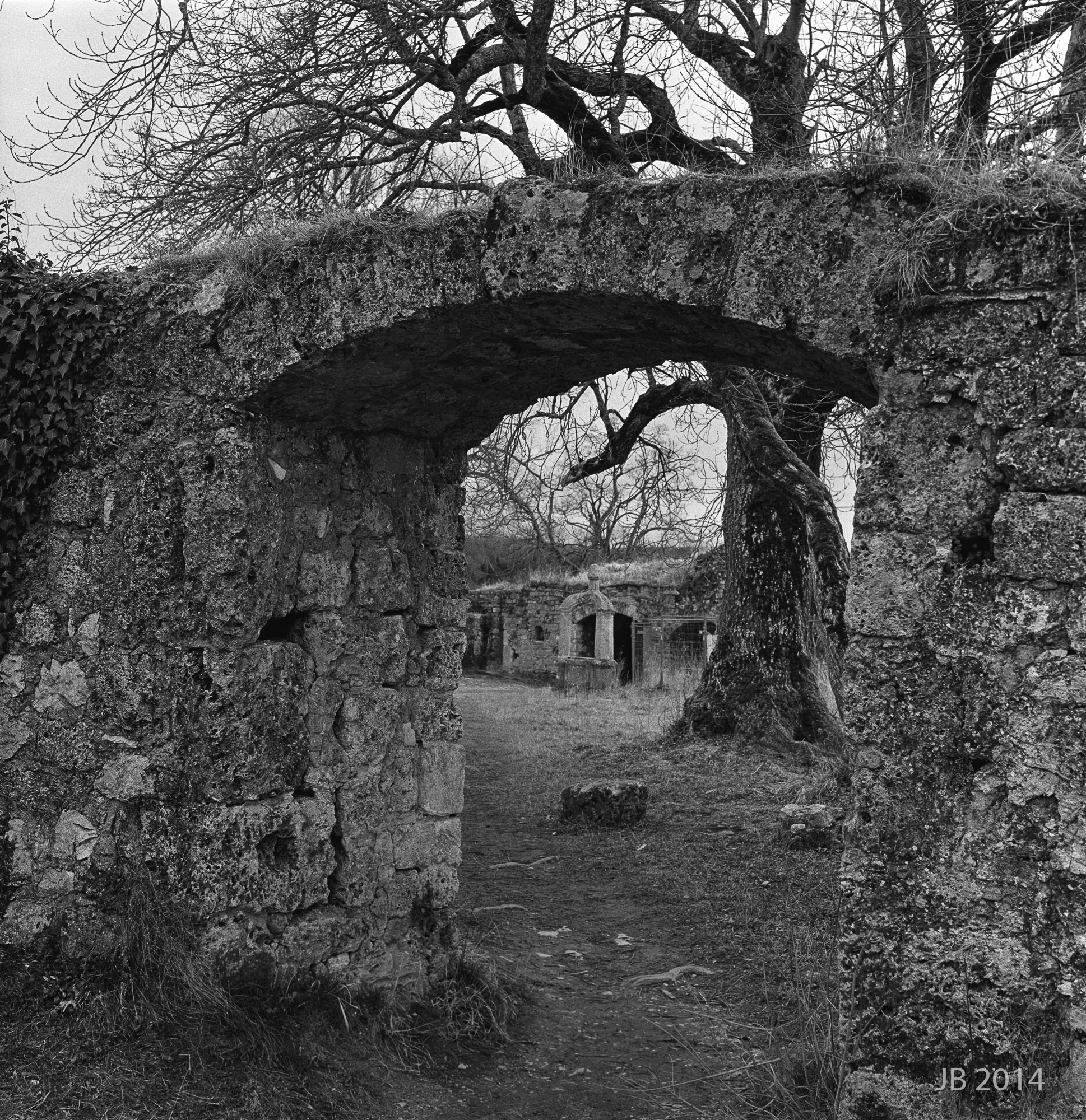 ../pics/TLR28GX_2014-0004-10_4000_l.jpg