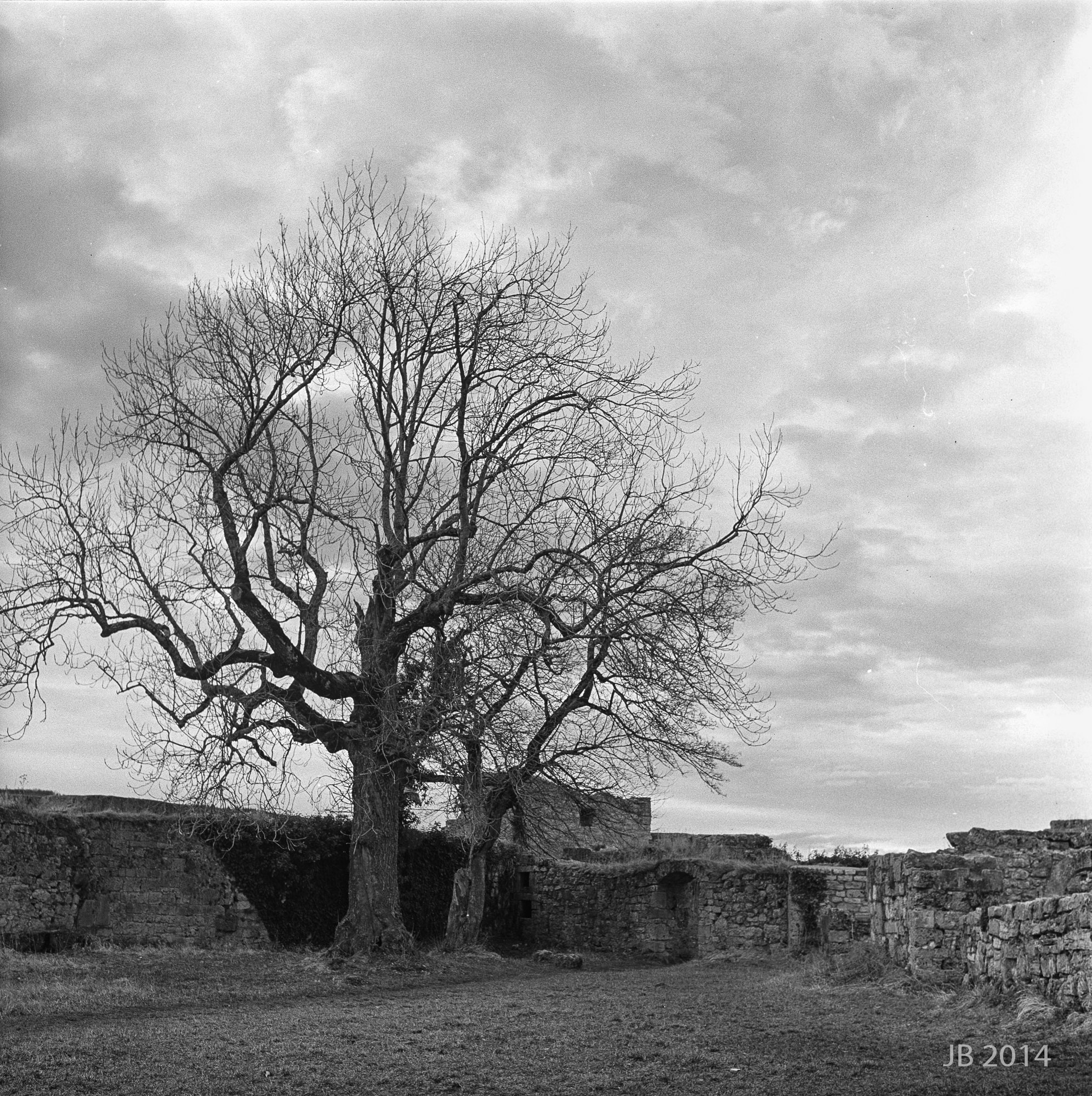 ../pics/TLR28GX_2014-0004-11_4000_l.jpg