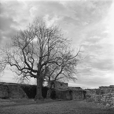 ../pics/TLR28GX_2014-0004-11_4000_n.jpg