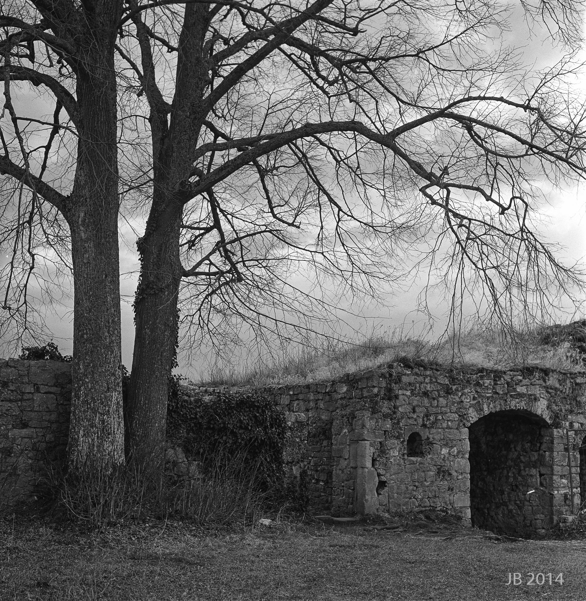 ../pics/TLR28GX_2014-0004-12_4000_l.jpg