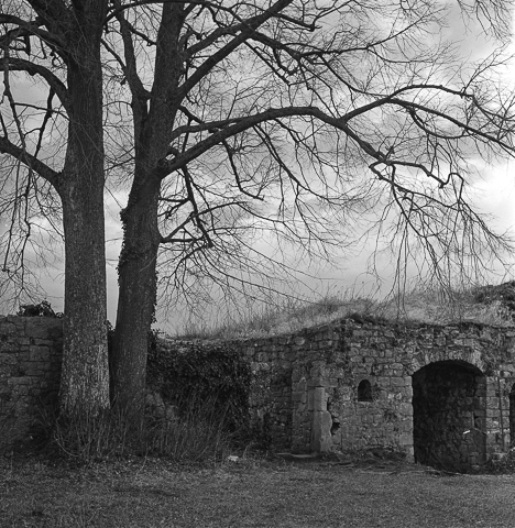 ../pics/TLR28GX_2014-0004-12_4000_n.jpg