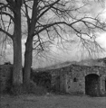../pics/TLR28GX_2014-0004-12_4000_t.jpg